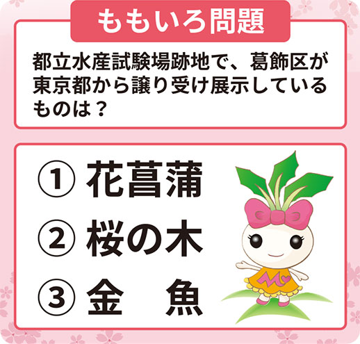 quiz_momoiro.jpg